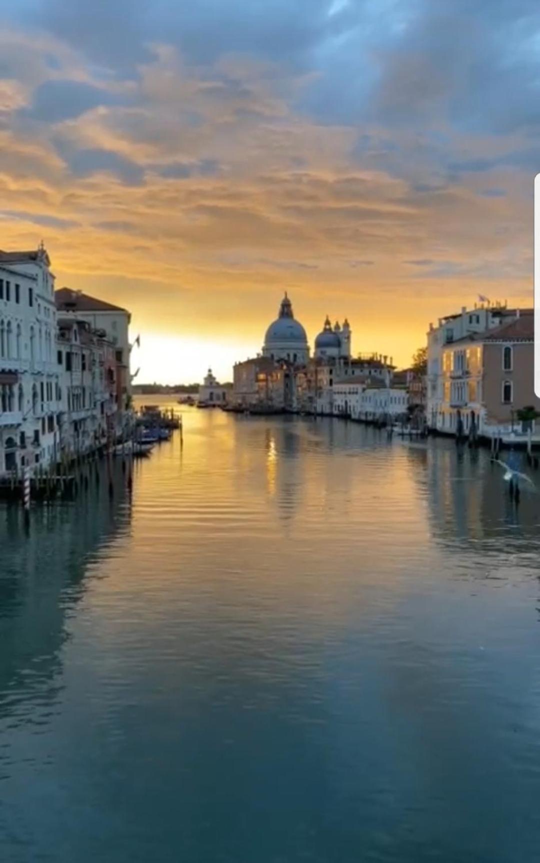 Gondola Show Veneza Quarto foto